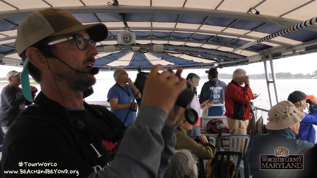 'Back Bay Birding with Jim Rapp' - For Worcester County Tourism смотреть онлайн