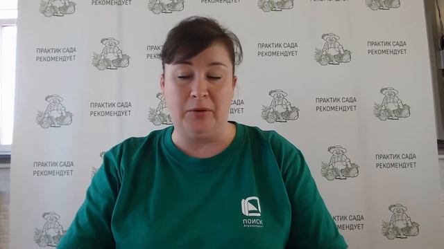 Выращивание редиса. Развеиваем мифы. смотреть онлайн