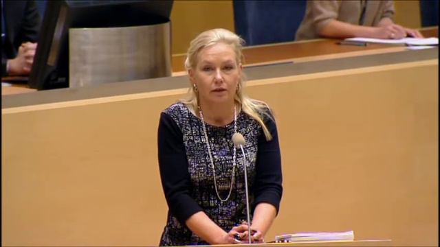 Jimmy Ståhl (SD) Brommaflygplats 2015-01-15 Sverigedemokraterna смотреть онлайн