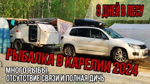 Рыбалка в Карелии 2024 на прицепе-кемпере. Море рыбы и впечатлений.