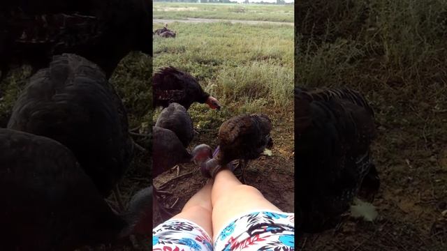 Эпиляция на дому, косметология в домашних условиях смотреть онлайн