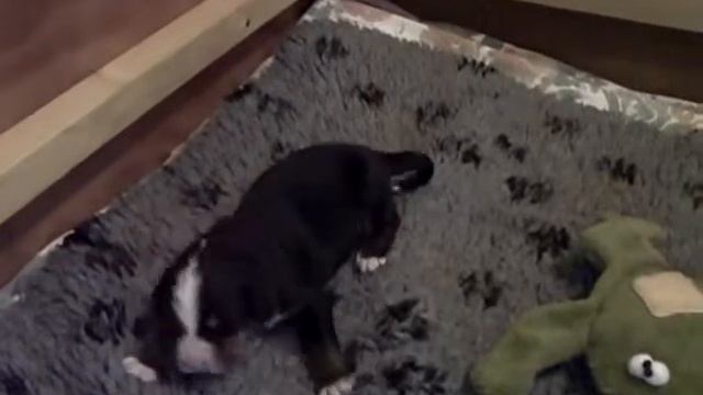 Eddy_Frosch смотреть онлайн