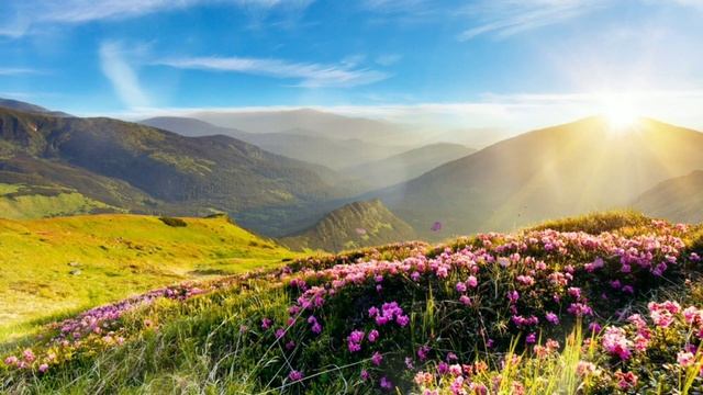 Лечебная музыка для глубокого сна | Спокойная музыка перед сном успокаивает нервную систему смотреть онлайн