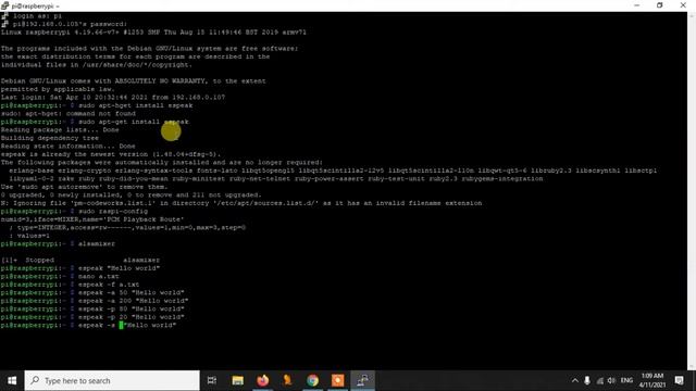 Text to Speech Conversion in any Raspberry Pi (3, 4 or Zero) using eSpeak and Python смотреть онлайн
