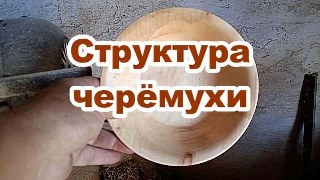 Структура черемухи. Токарные работы по дереву.mp4 смотреть онлайн