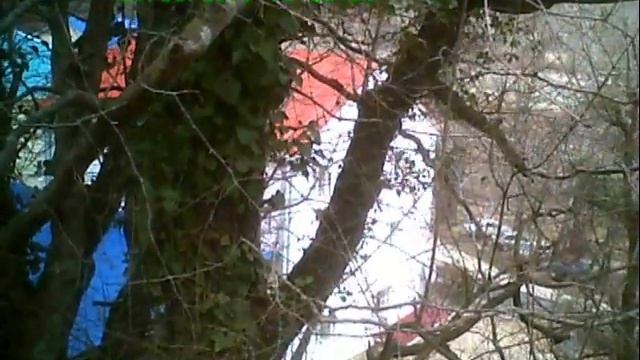 Виктор Чириков на даче Ткачёва 03 смотреть онлайн