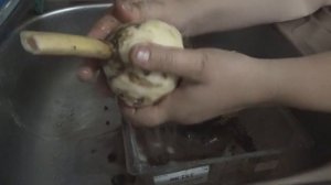 Уход за рябчиком после цветения
