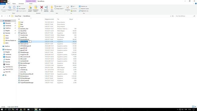 Silkroad Server Spoof Manager смотреть онлайн
