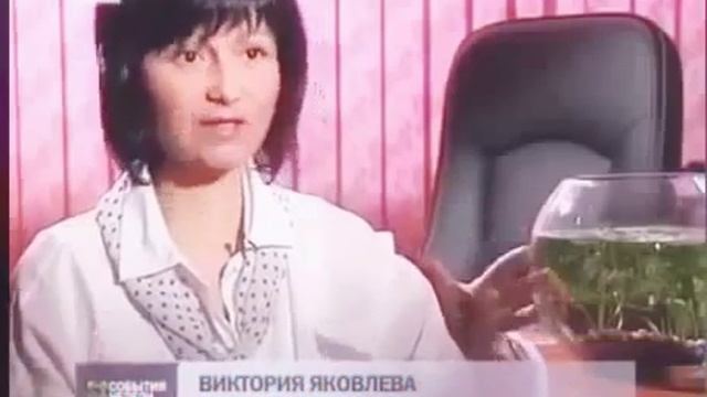 Чем вредны фосфаты для человека, и экологии смотреть онлайн