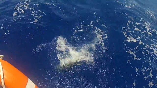 vídeo A TOMAR VIENTO 6 смотреть онлайн