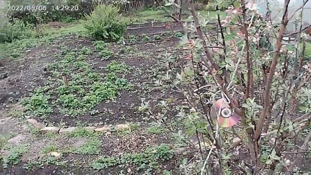 21.05.2022 г. Холодно у нас. смотреть онлайн