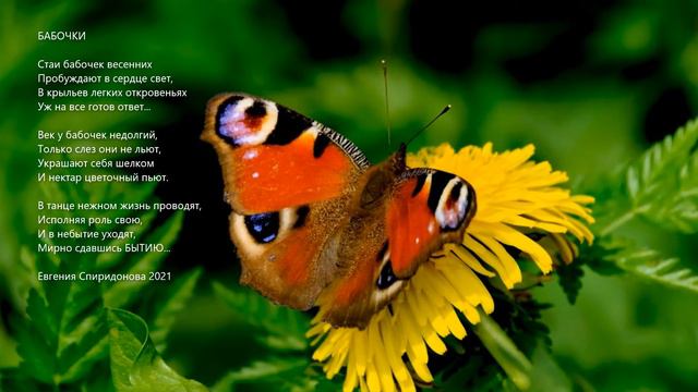 Бабочки смотреть онлайн