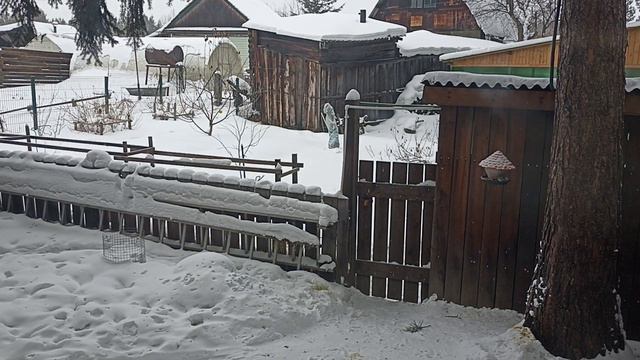 Михаил Зощенко. Рассказ про Мастера агитации, или все скидывайтесь на ероплан. Читает Алла. смотреть онлайн