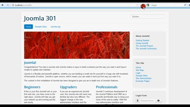 Tutorial-Reihe: Git, Github, Tortoisegit, Xampp, Joomla! - Teil 6 (Git Branch aktualisieren) смотреть онлайн