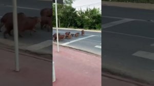 Переходим, не торопимся.