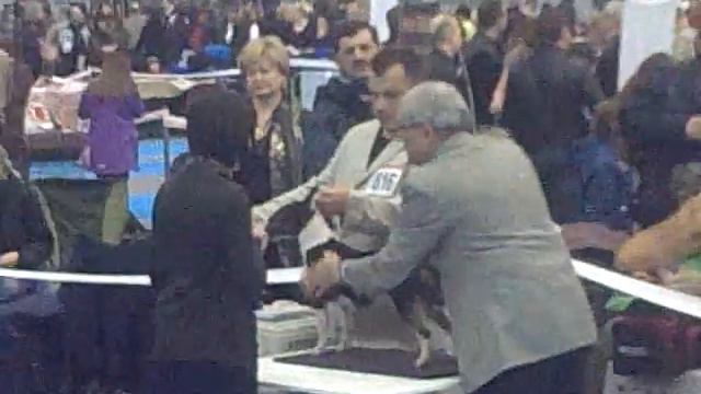 выставка апрель 2011 минибуль.3gp смотреть онлайн