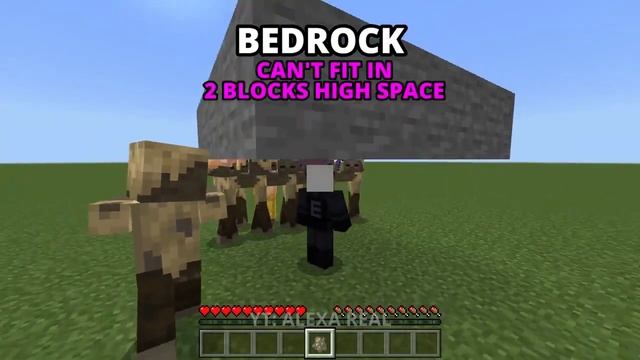 Bedrock vs Java edition new latest version 1.2 смотреть онлайн