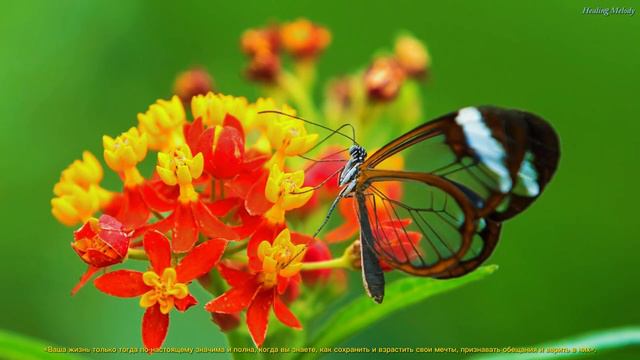 Лучшие песни для души 2023! Самая красивая и волшебная весенняя мелодия любви! Музыка Сергей Грищук смотреть онлайн