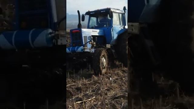 мтз80 смотреть онлайн