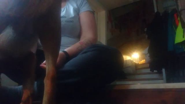 Hedda tränar omvänt lockande 23/10 смотреть онлайн