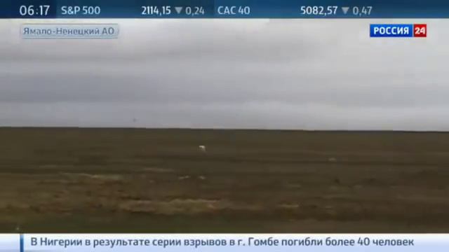 Потепление климата ускоряется птицы и животные осваивают крайний Север смотреть онлайн
