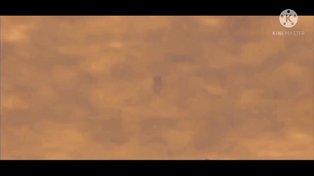 Madara vs Shinobi Alliance | Naruto Shippuden // AMV \\ FREE FLOW FLAVA x NKOHA - MADARA смотреть онлайн