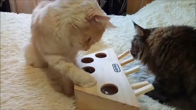 Посылка из Китая: игрушка для котов. смотреть онлайн