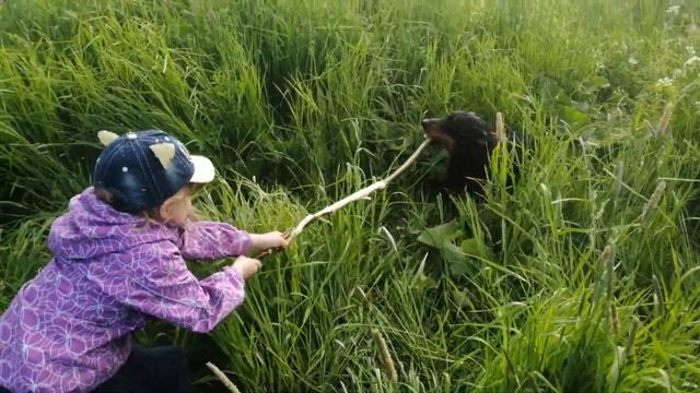 Кто кого?) Доча против Немецкого ягдтерьера. смотреть онлайн