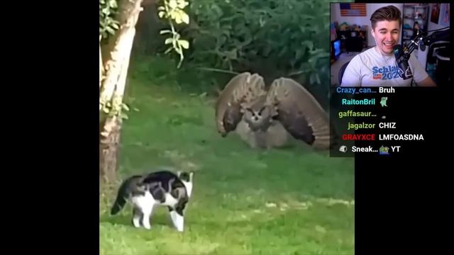 Ludwig Reacts to Unusual Memes that are GUARANTEED to make you laugh смотреть онлайн