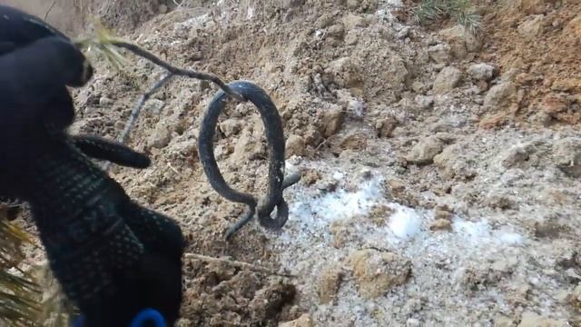 ЗМЕЯ ГАДЮКА В СПЯЧКЕ смотреть онлайн