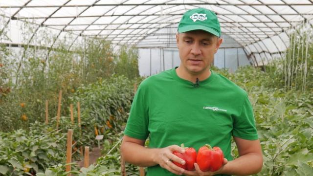 Сладкий перец с толстыми стенками - КРАСНЫЙ БОК смотреть онлайн