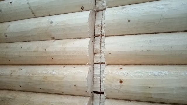 Монтаж перегородки из бруса в срубе бани. Подробная инструкция смотреть онлайн