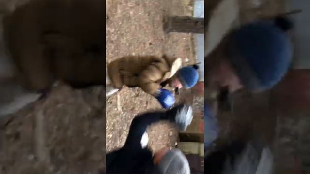 Стрелка школьников часть 2