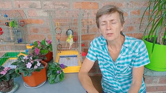 Славянск, утро 14 августа 2022года🏡 смотреть онлайн