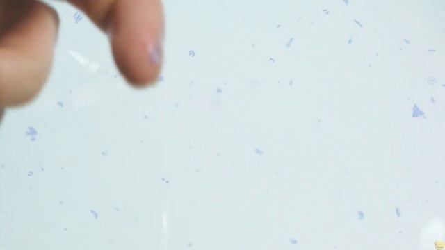 Практический опыт растворения тубы (втулки) от туалетной бумаги Zewa Aqua Tube