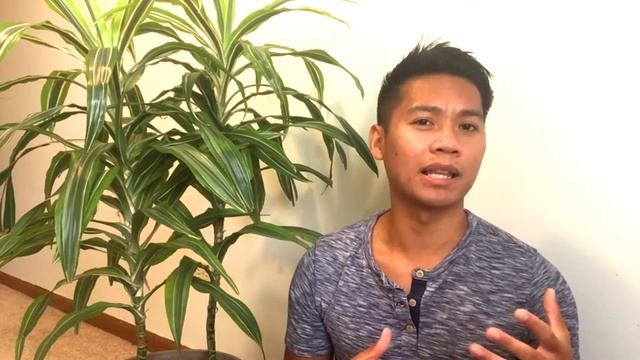 Dracaena Lemon Lime Plant Care Tips || Dracaena Care смотреть онлайн