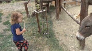 Катя и Макс на ферме животных