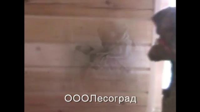 Шлифовка стен брусового дома смотреть онлайн