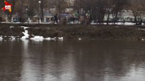 Паводок в Орле