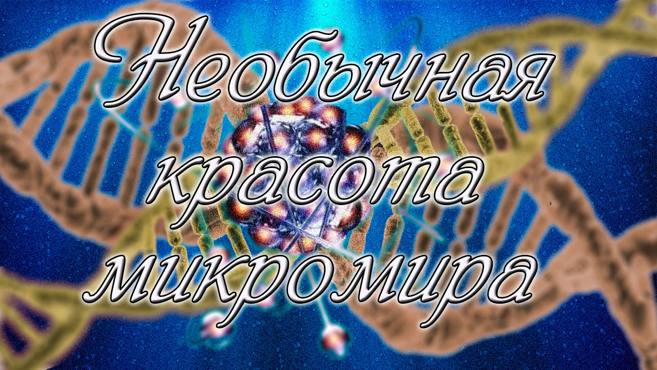 Необычная красота микромира. Видео под микроскопом.