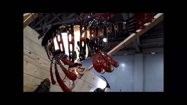 Выставка ДОМ и САД 2016 смотреть онлайн