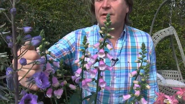 David Domoney talks about Plants for pollinators смотреть онлайн