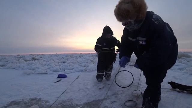 ПРОВЕРКА СЕТЕЙ А ТААААМ! Якутия (Yakutia)