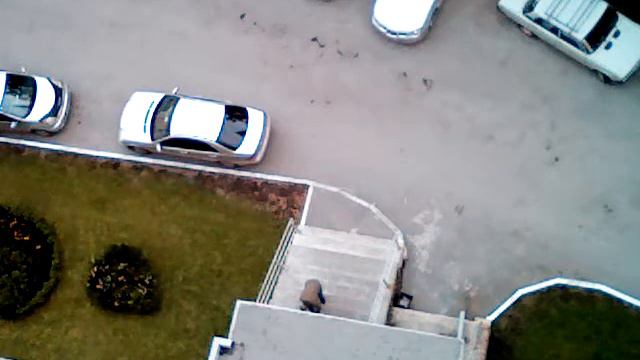 Китти вернулась домой смотреть онлайн