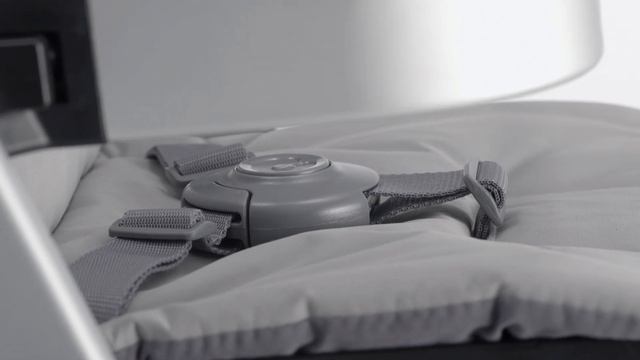 Spin (español)