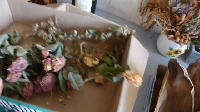 Травы и сухоцветы для декора смотреть онлайн