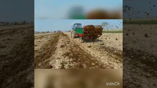 Роу 3. Розкидає. смотреть онлайн