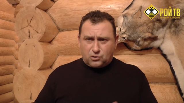 Максим Калашников о дураках с апломбом в политике смотреть онлайн