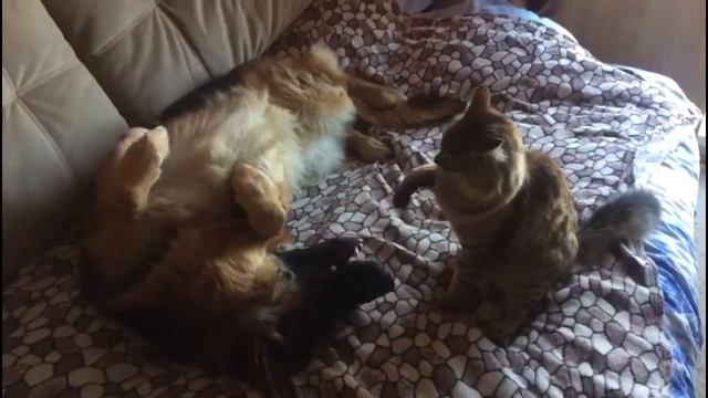 Кто с нами подурачиться?