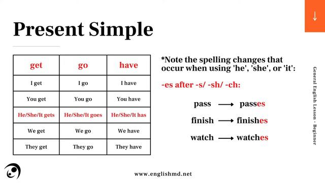 Every day I... | Beginner English for ESL Adults & Teens (A1) | Review смотреть онлайн